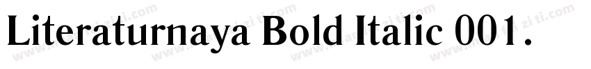 Literaturnaya Bold Italic 001.001字体转换